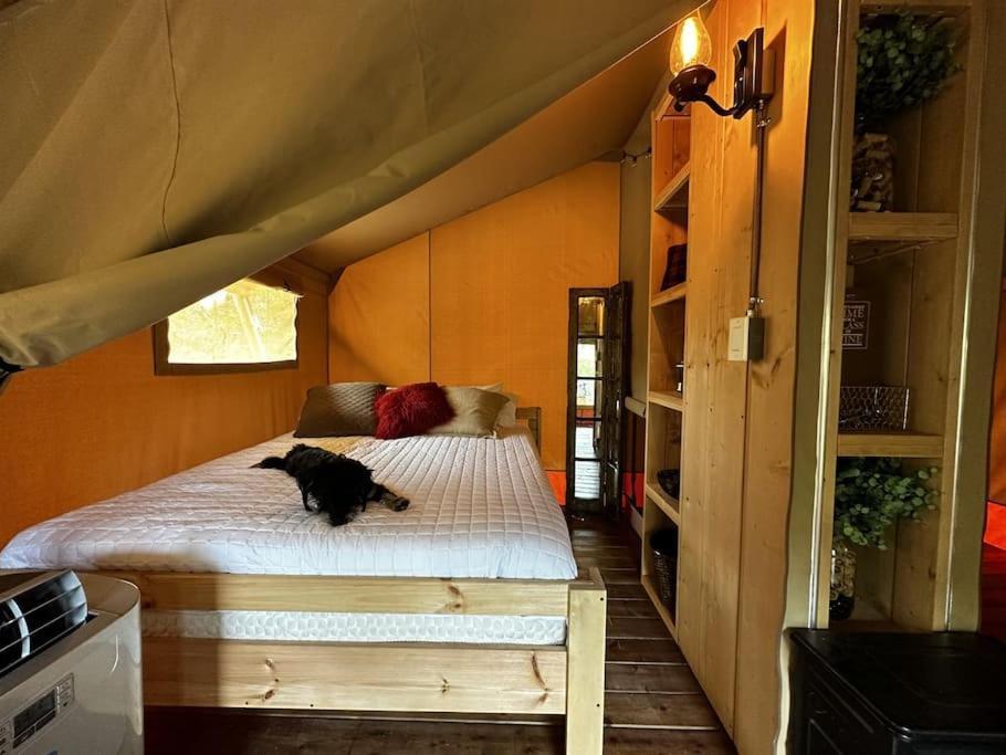 12 Fires Luxury Glamping With Heating #5 Hotel จอห์นสันซิตี้ ภายนอก รูปภาพ